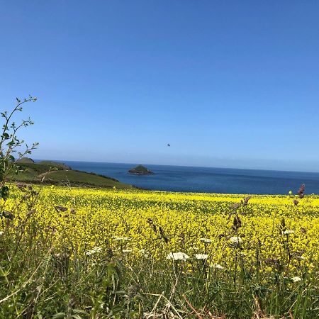 Little Valley View Otterham 외부 사진