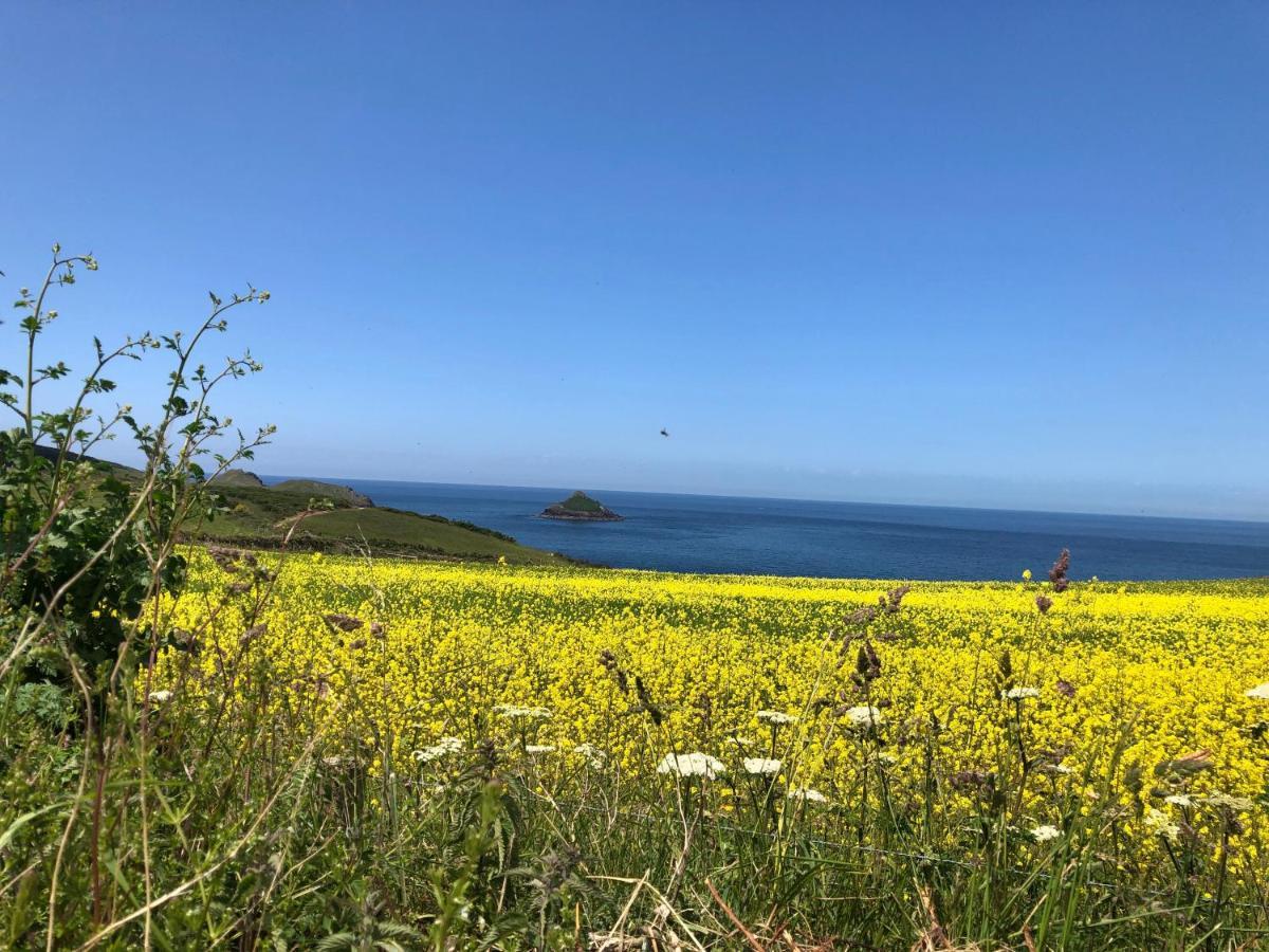 Little Valley View Otterham 외부 사진
