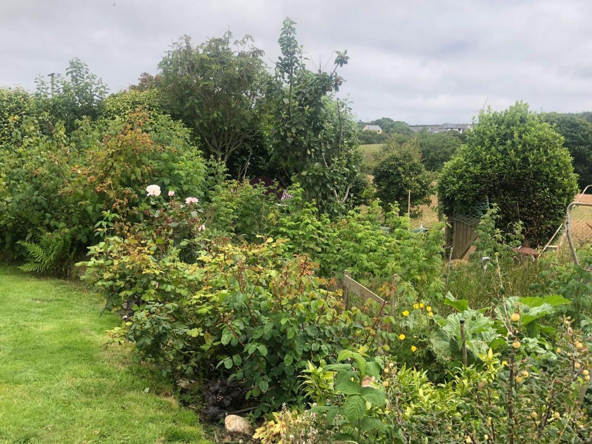 Little Valley View Otterham 외부 사진